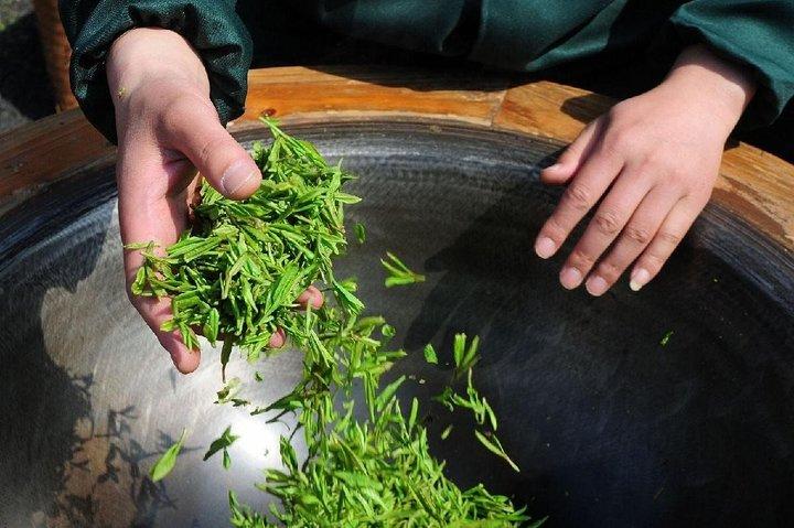成都を体験してください：Mengdingshan茶畑のプライベート茶作り日帰りツアー