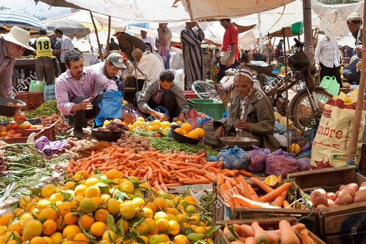 Day trip to Berber valley and Atlas mountains