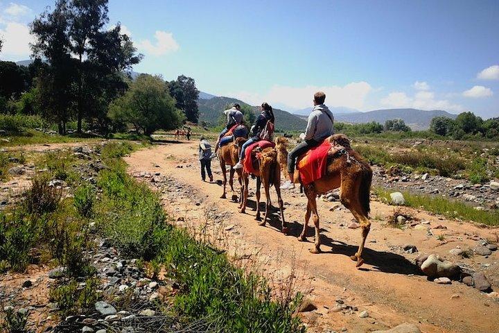 Day trip to Berber valley and Atlas mountains