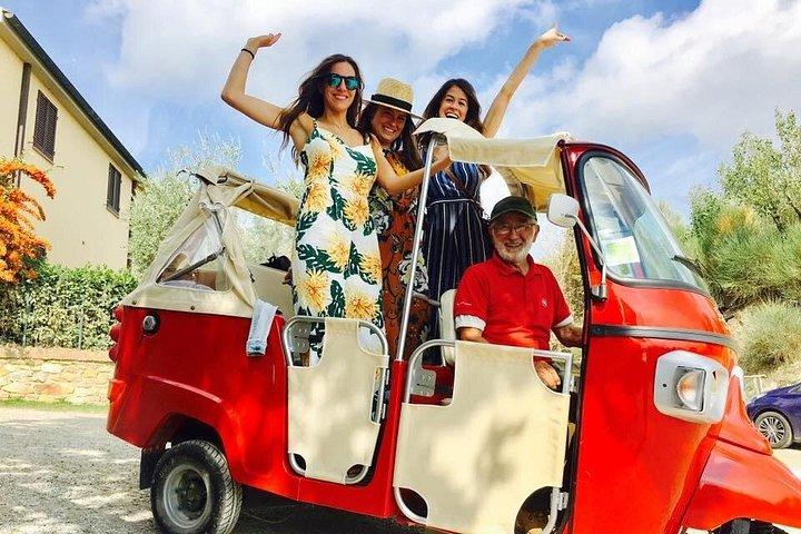 Small Group Wine Tour & San Gimignano Visit