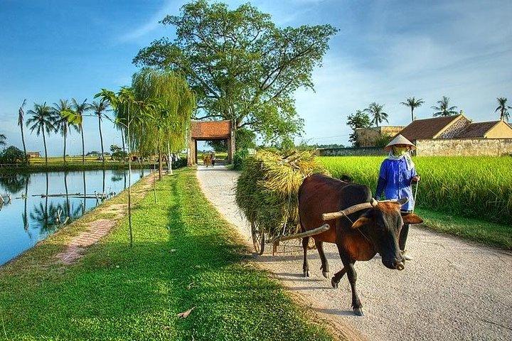 Duong Lam古代の村の終日プライベートツアー