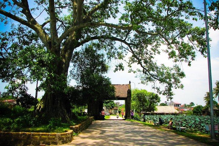 Duong Lam古代の村の終日プライベートツアー
