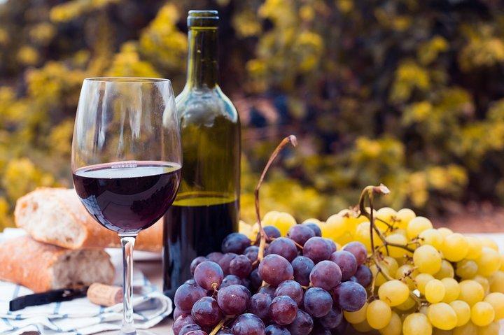 Privat Halvdag Concha Y Toro vingårdstur fra Santiago