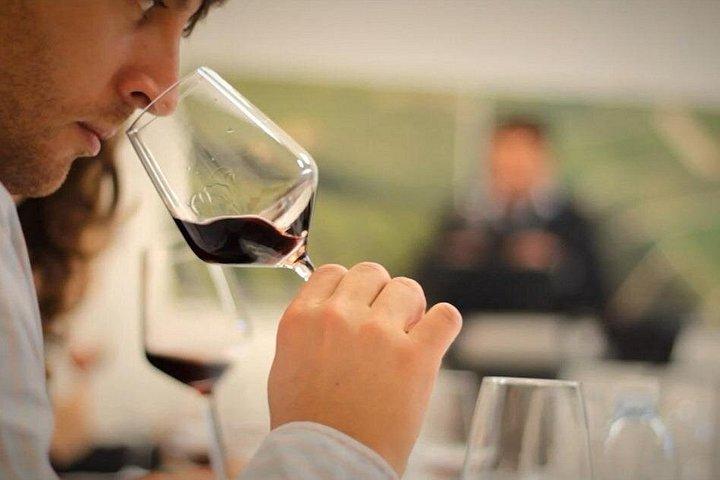 ボルドー：シャトー訪問、地下セラー＆ワイン試飲