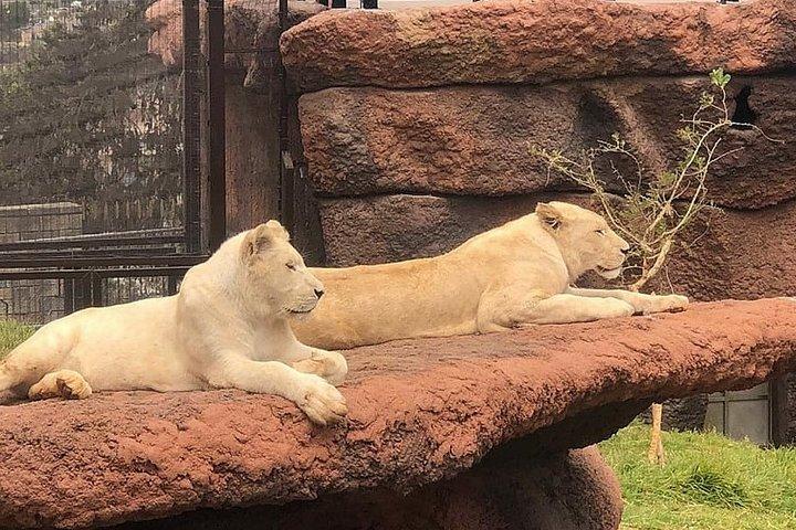 アディスアベバシティツアーと組み合わせた終日ユニティパーク