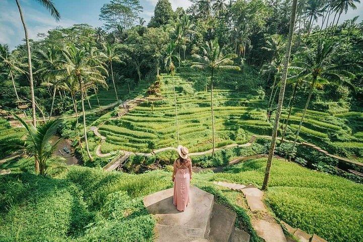 Ultimo privato "2 giorni 1 notte nord-est di Bali"