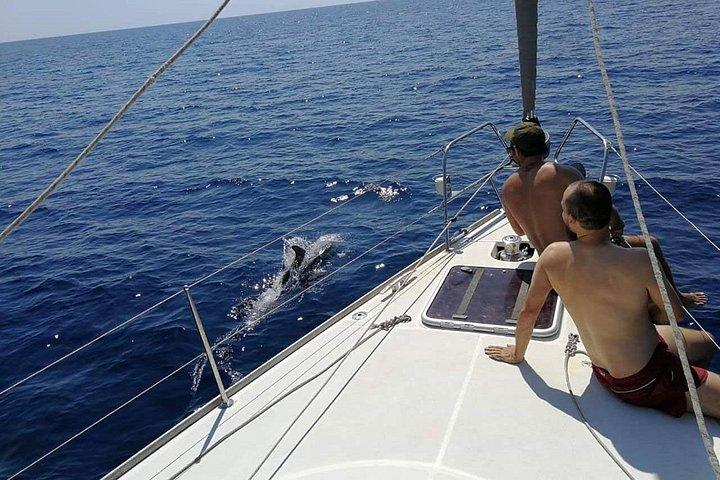Authentische Barcelona Segeltour mit Schwimmen & Trinken