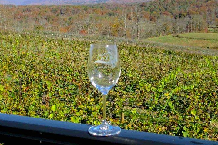 North Georgia Wine Country Tour from Atlanta