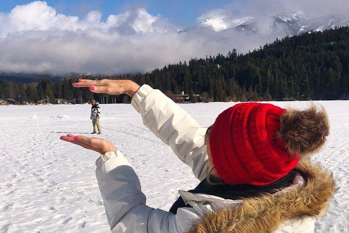 ウィスラー観光ツアー: 一年を通してウィスラーのすべてを発見しましょう!