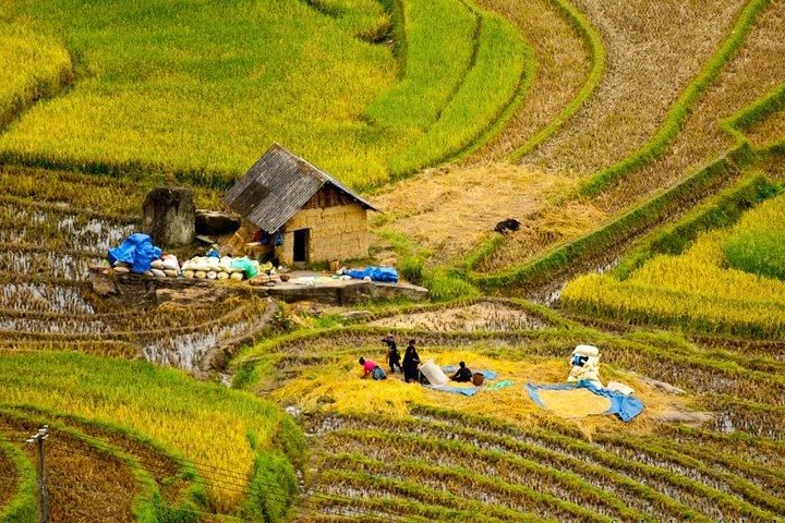 Sapa Villages vandring och hemvistelse 2 dagar/1 natt paketresa: bästsäljande