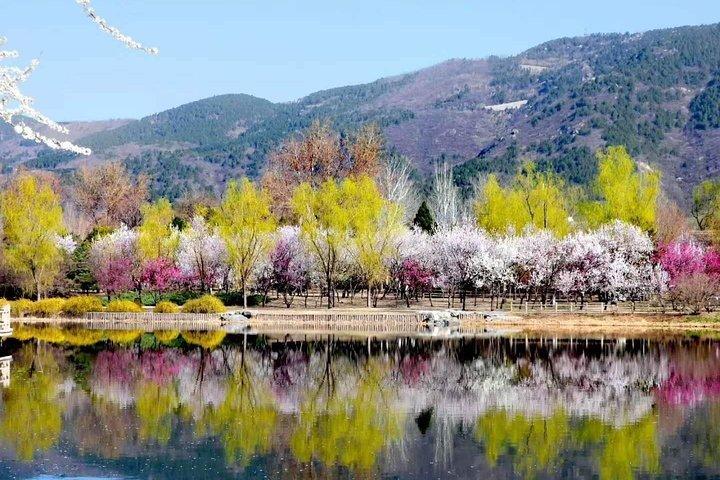 Trasferimento privato di andata e ritorno a Fragrant Hill e al Giardino Botanico