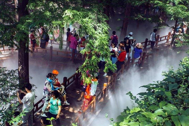 Trasferimento privato di andata e ritorno a Fragrant Hill e al Giardino Botanico