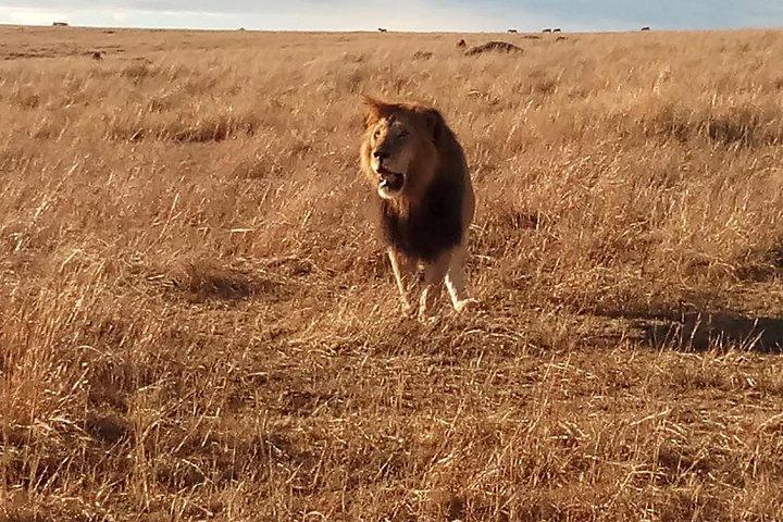 2 dagar Lake Nakuru N/P