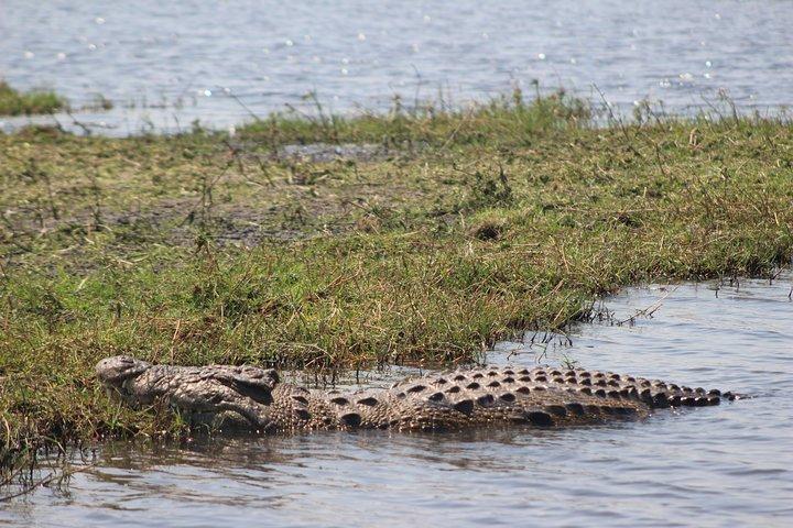 Safari di Chobe da Victoria Falls