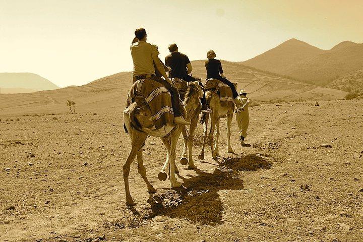 Full-Day Agafay Desert Adventure & Atlas Mountains from Marrakech