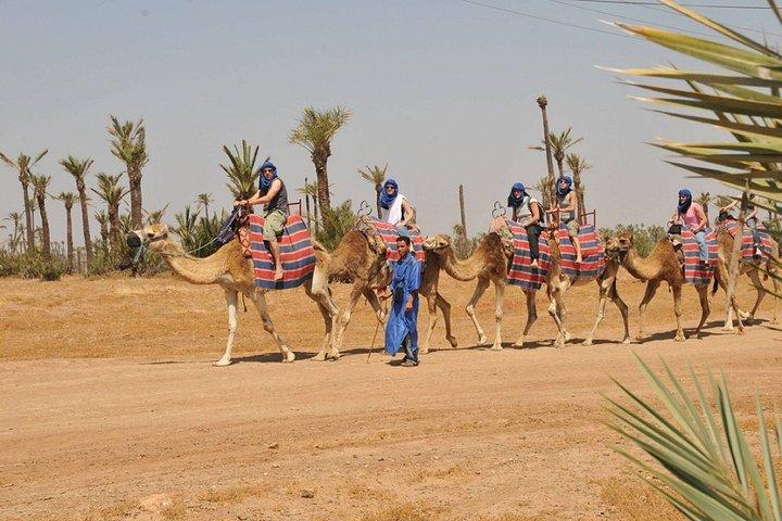 Activity in Marrakech combined Quad and camel ride