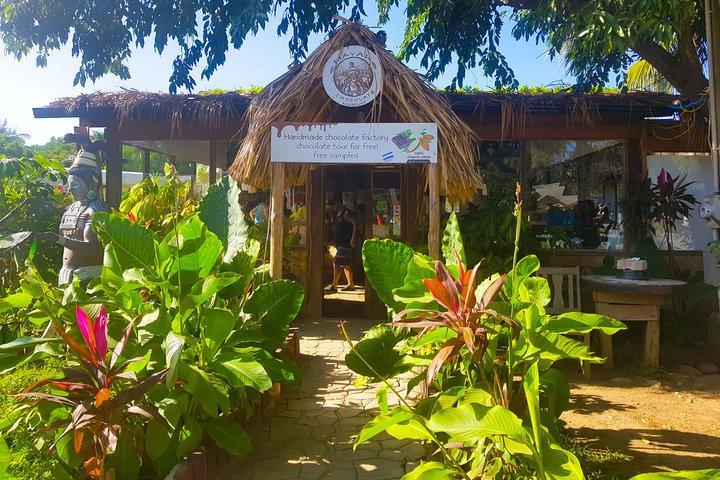 Roatan privat halvdags sightseeingtur och strand