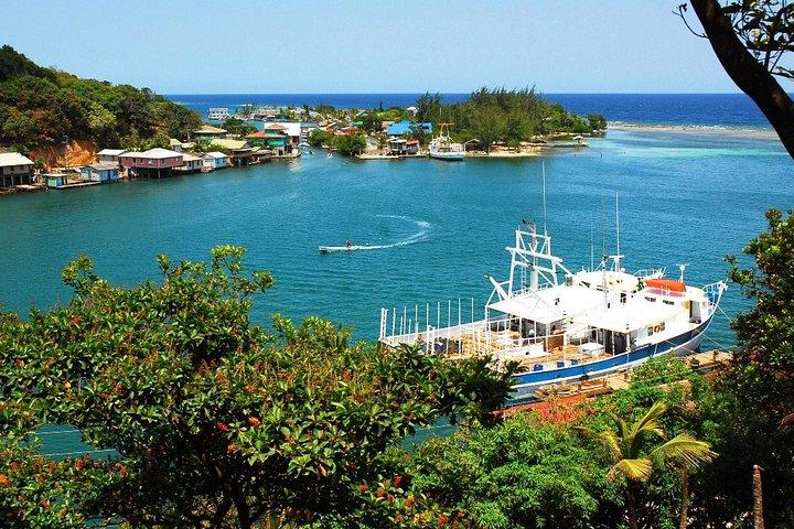 Customizable Island Tour While on Roatan
