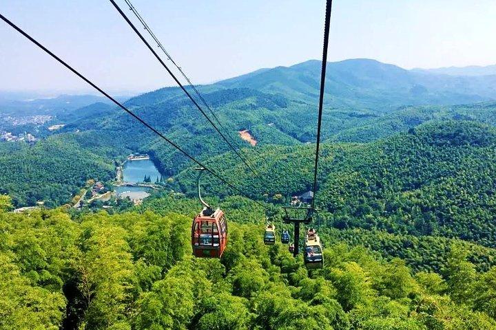 Excursión privada de un día al bosque de bambú Yixing con todo incluido desde Shanghái