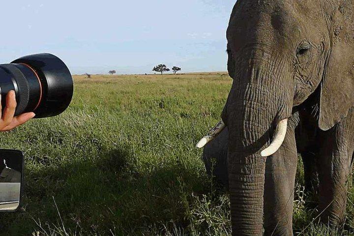 Gita di un giorno al Tarangire National Park