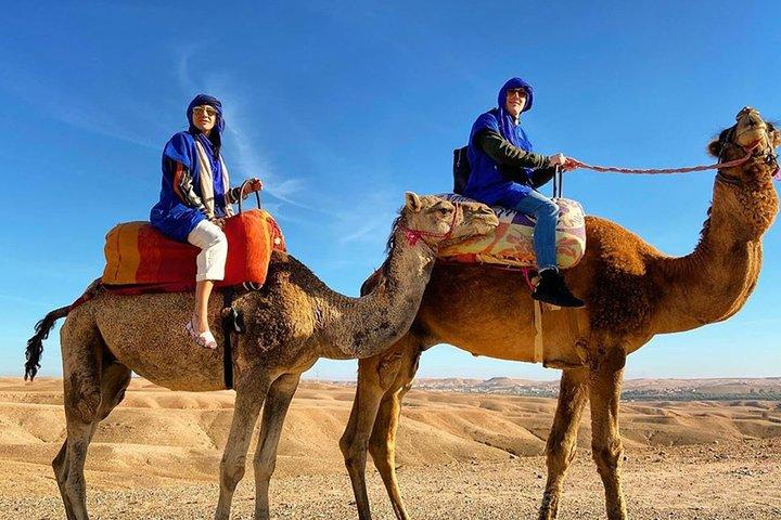 Aktivitet i Marrakech kombinerade buggy- och kamelritt
