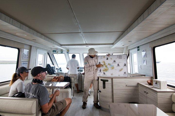 North Seymour Island & Bachas Beach ombord på Sea Lion Yacht