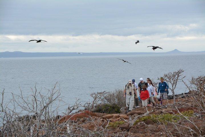 North Seymour Island & Bachas Beach ombord på Sea Lion Yacht