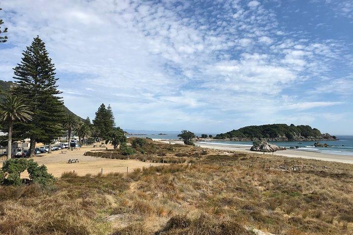 Tauranga Landausflug : Geschichte & Kiwifruchtverkostung – 4 Stunden
