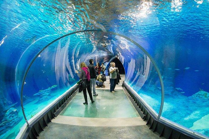 Breslau: Zoo mit privatem Transport und Tickets