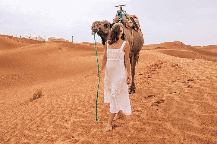 Private 4-day desert tour
