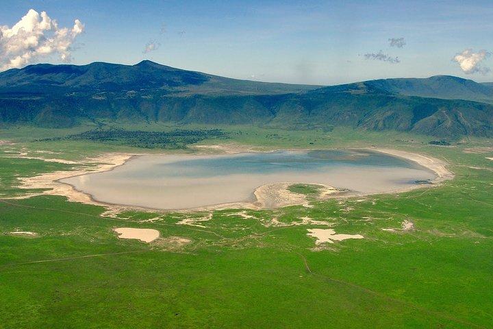 Tour privado de 6 días por Safari en Tanzania