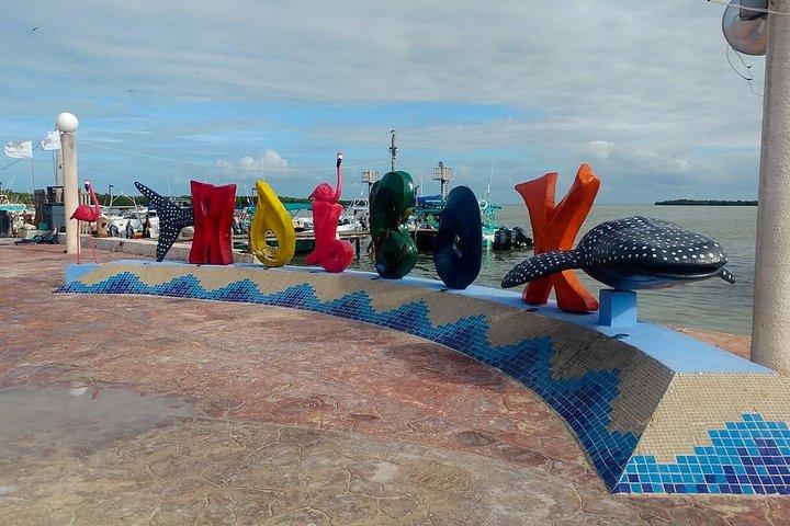 Holbox Magic Island Tour + Round Transportation From Cancun
