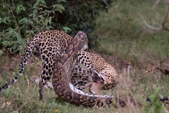 3 giorni a Maasai Mara N / R.