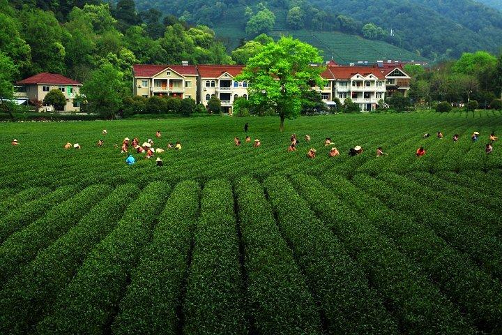 Excursão privada de um dia em Hangzhou pelo Lago Oeste, Templo Lingyin e Vila do Chá
