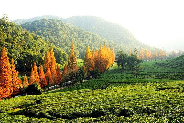 Excursão privada de um dia em Hangzhou pelo Lago Oeste, Templo Lingyin e Vila do Chá