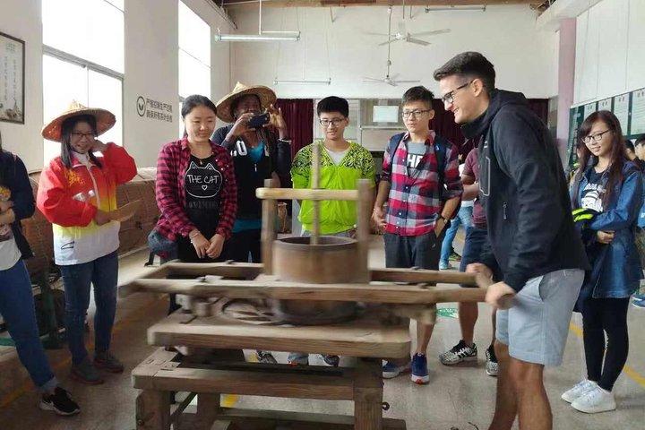 Excursão privada de um dia em Hangzhou pelo Lago Oeste, Templo Lingyin e Vila do Chá