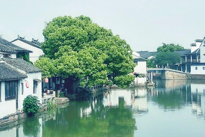 Private Tagestour nach Tongli Water Town mit Bootsfahrt und Mittagessen von Suzhou