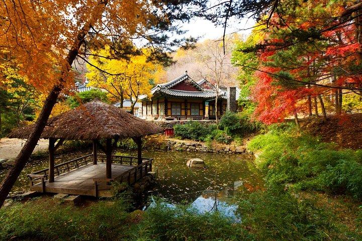 Tour privato del villaggio folk coreano