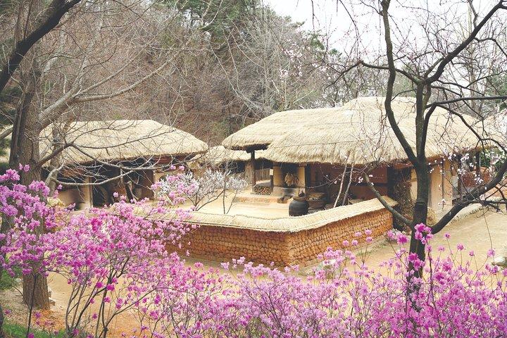 Tour privato del villaggio folk coreano