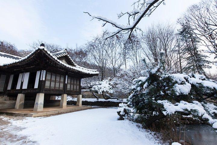 Tour privato del villaggio folk coreano