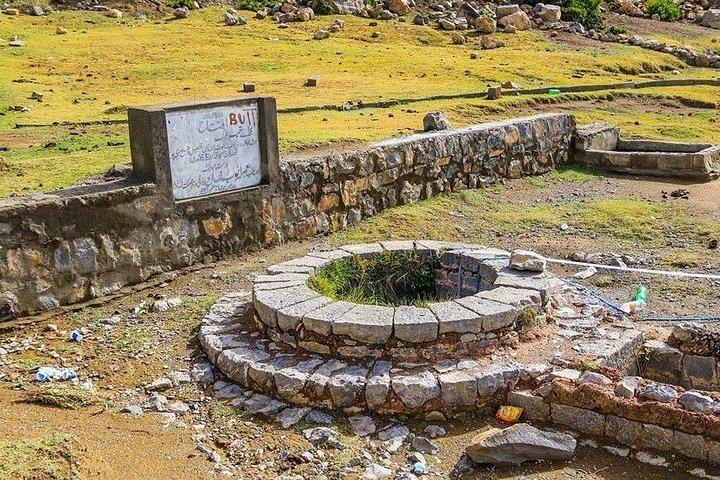 Private Tour: Islamabad Full Day Customized Exploration Tour