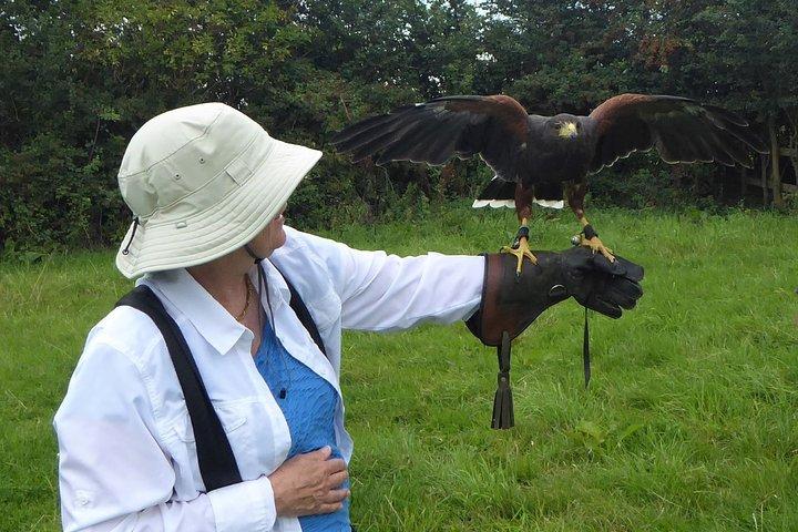 Bath City Tour & Fly a Hawk Experience - Dagtour vanuit Bath