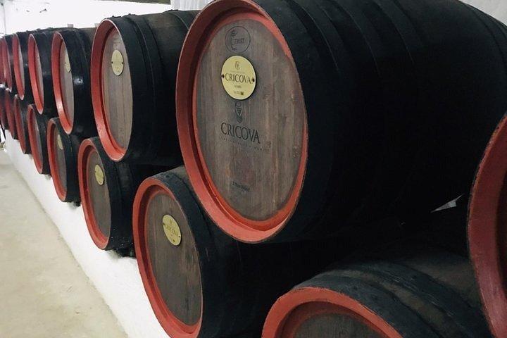 Cricova Winery＆SPA訪問