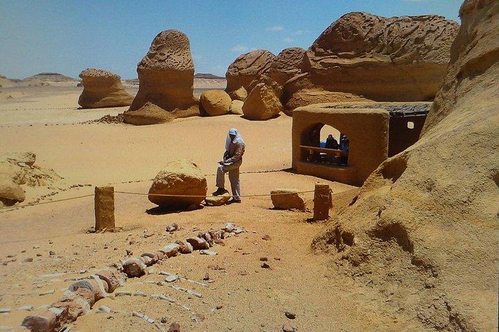 カイロからワディ アル ヒタンとファイユーム オアシスへの 3 日間の旅行