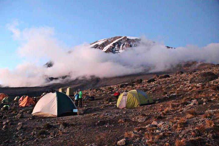 Excursión de un día a Marangu