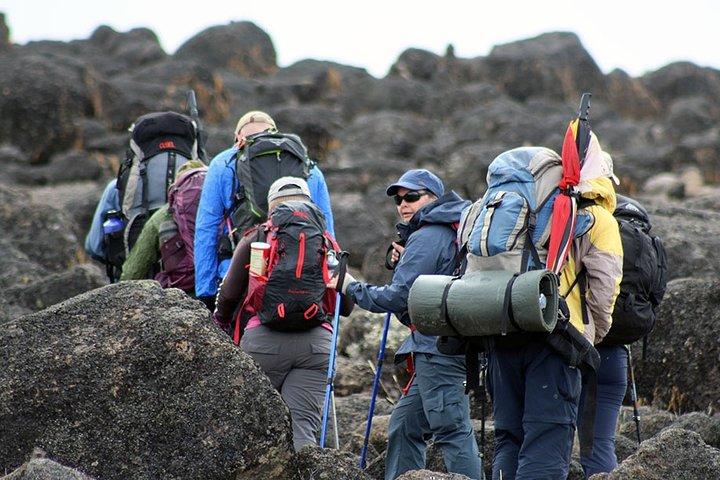 Excursión de un día a Marangu