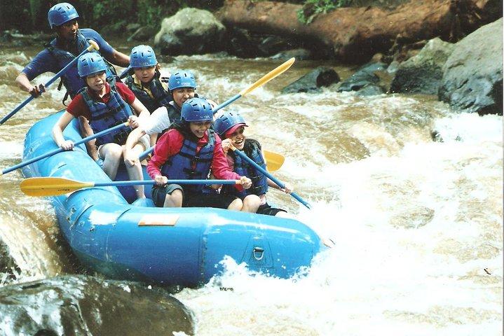 Bali : アユン川ホワイトウォーターラフティングウブド