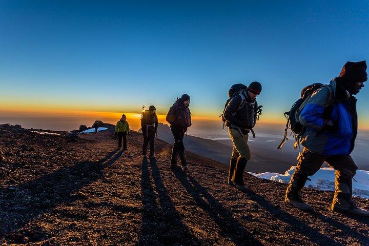 Excursión de un día a Marangu