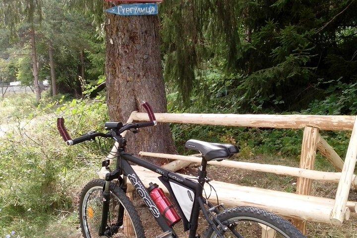 Private Mountain Biking Experience in the Balkan Range