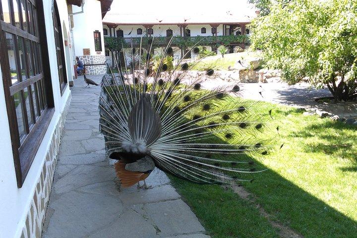 Excursion privée d'une journée à Hissarya et Starosel au départ de Plovdiv
